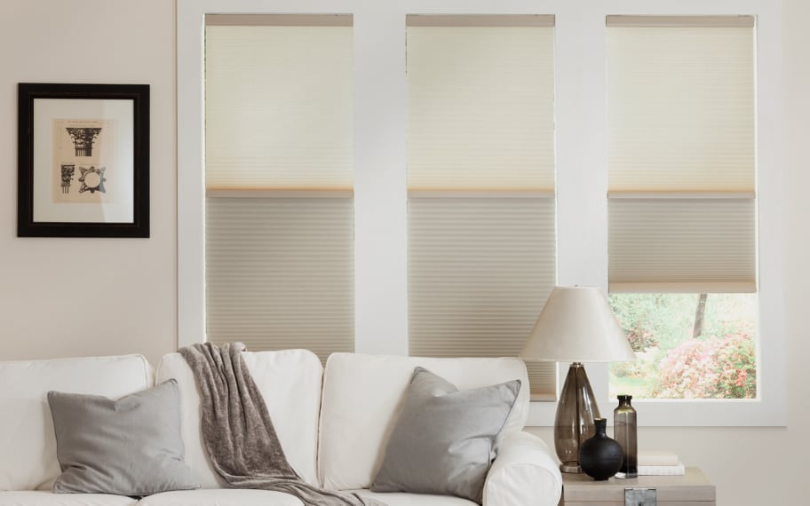 Cellular Blinds in a Sitting Room